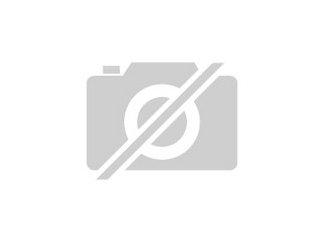 Suche Zwergpinscher